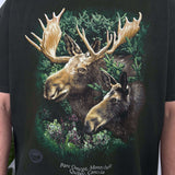 VINTAGE MOOSE WILDLIFE TEE - L
